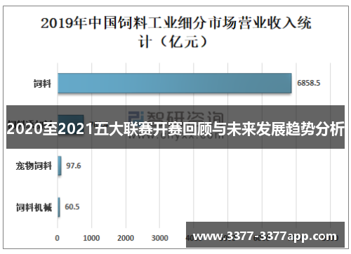 2020至2021五大联赛开赛回顾与未来发展趋势分析