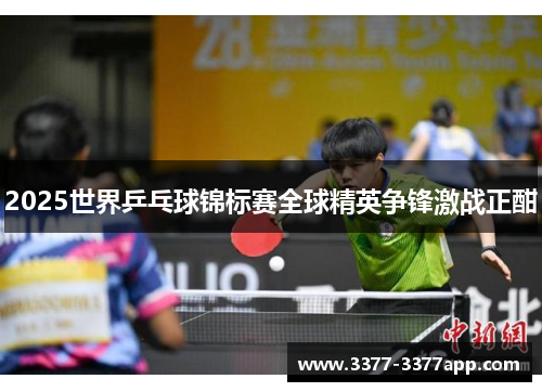 2025世界乒乓球锦标赛全球精英争锋激战正酣